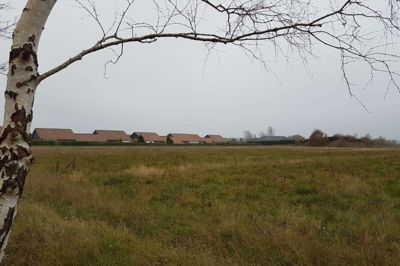 Det er nu vedtaget i byrådet, at denne grund mellem Lysholt Allé og Grøddevej i Ikast både skal huse den nybyggede Børneby Øster samt en ny specialskole til børn med særlige behov. Foto: Thomas Vang Nielsen