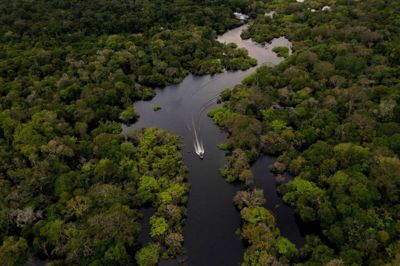 Fra 2010 til 2019 frigav den brasilianske del af regnskoven 16,6 milliarder ton CO2, mens den kun optog 13,9 ton. (Arkivfoto).