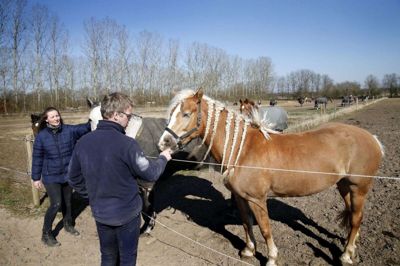Formand Marianne Bertelsen og staldmester Dennis Christensen, Højris Rideklub, hvor al træning er aflyst i forbindelse med corona-krisen. foto: flemming hansen