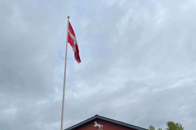 Højris Rideklub søger kommunal støtte til renovering af dressurbanerne. Foto: Camilla Norup