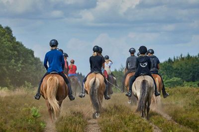 Kompedal danner igen i år rammen omkring et stort træf for islandske heste. Foto: Privatfoto