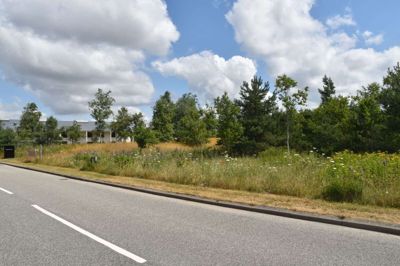 Bestseller har fået tilladelse til at rydde et pænt stykke skov for at give plads til en ny bygning i Bestseller-landsbyen. Foto: Flemming Thulstrup