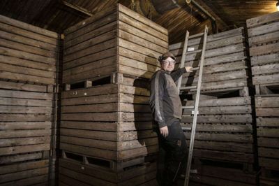 Simon Bækgaard Christensen driver en planteproduktion på 400 hektar nord for Ikast, hvor han for to år siden blev selvstændig landmand. Nu er han kåret som årets unge landmand.Foto: Jørn Deleuran