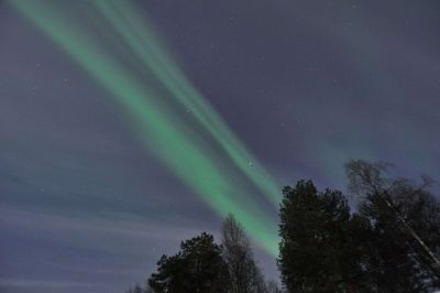 Nordlys er forskellig fra gang til gang, men altid lige fascinerende, siger Jesper Bjørnholt fra Ikast. Foto: Jesper Bjørnholt