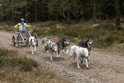 Medlemmer af Dansk Polarhunde Klub og Dansk Trækhunde Klub dystede i weekenden om at vinde titlerne som danske mestre i forskellige klasser og på forskellige distancer. Foto: Jørn Deleuran