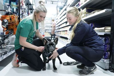 Maiken Rønn (t.h.) fra Herning var i Maxi Zoo for at købe en hundesele til Bella, som er en fransk bulldog. - Jeg synes, det er en rigtig flot butik, siger hun. Foto: Henrik Ole Jensen