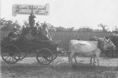 Herning-Ikast Landboforening kan på fredag fejre 175-årsjubilæum. Foto: Lokalhistorisk arkiv - Herning