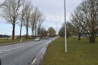 Vejtræerne langs de store indfaldsveje danner en slags signatur for Ikast. Her ses nogle af dem på Jyllandsgade. De omkring 5000 vejtræer i Ikast-Brande Kommune skal nu have deres egen overordnede plan. Foto: Flemming Thulstrup