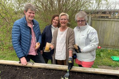 Over hele landet plantede væresteder i går morgenfruer, som er værestedernes blomst. Den er et symbol på forandring, mangfoldighed, aktivitet og fællesskab. Fra venstre ses Rudi Dræby Simonsen, socialrådgiver Gitte Kristensen, udvalgsformand Birthe Sørensen (S) og Karen Jakobsen.