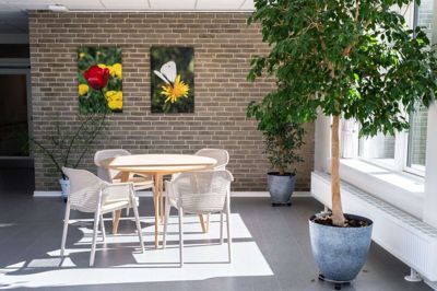 På Bøgildlund er der blandt andet kommet en smuk fotoserie. Foto: Linna Grøn