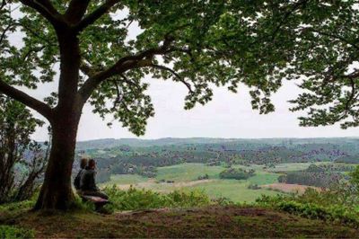 Ikast Kirke inviterer på pilgrimsvandring i den spændende natur omkring Vrads. Foto: Privat foto