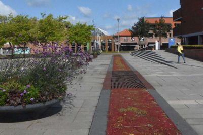 Da det blev besluttet, at Torvet i Ikast skulle begrønnes, faldt valget på sedumplanter i vandrenden. Det har siden vist sig at være en både dårlig og dyr løsning. Foto: Flemming Thulstrup