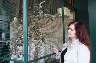 Cæcilie Dahl Frederiksen fra Egå har deltaget i Unge Sangere og var meget imponeret af fugleburet i Strøgcentret. Fuglene gav endda inspiration til underholdningen ved deltagernes festmiddag. Foto: Laila Kempel