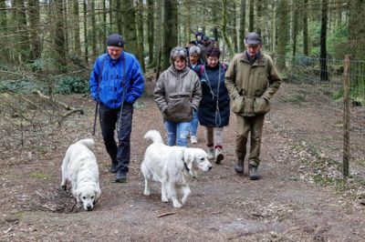 Torsdag 25. april er det muligt at komme med på vandretur i Palsgård Skov. Billedet er fra en tidligere begivenhed i samme skov, hvor Folkebladet var med. Foto: Chresten Bergh