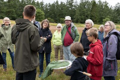 Harrild Hede byder på mange skønne naturoplevelser. I sommer inviterede Harrild Hedes Venner blandt andet på sommerfugletur, og nu har stedet fået mulighed for at skabe et nyt, udendørs mødested. Foto: Linna Grøn Secher