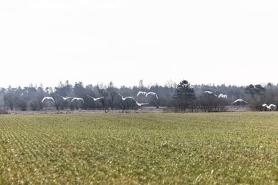 »At fastholde og skabe mere natur«. Det er en del af forklaringen på, hvorfor Bestseller-milliardæren Anders Holch Povlsen opkøber jord i området omkring Skarrild og Karstoft, lyder det fra selskabet bag de seneste jordopkøb.