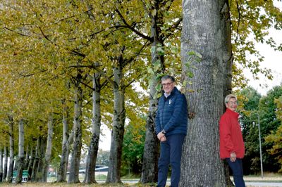 Palle Høj fra Venstre og Birthe Sørensen fra Socialdemokratiet har fundet frem til en mulig løsning, som fremover vil kunne sikre et smukt stykke langs Thomas Poulsens Allé.
