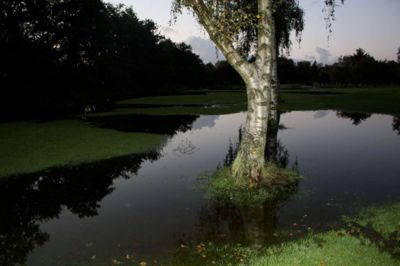Golfbanen blev oversvømmet ved det kraftige regnvejr 7. september. Foto: Jesper Nygaard