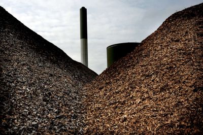 En ny model for honoreringen af bestyrelsesmedlemmer i EnergiMidt har givet en længere læserbrevsdebat. Her ses Herningværket bag et fotogent bjerg af træflis, der skal brændes af for at skabe fjernvarme.??Foto: henrik Ole Jensen