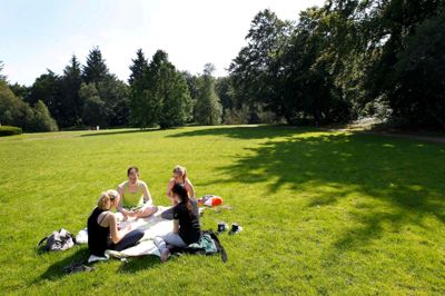 Flemming Hansen. Sdr. Anlæg er som skabt til picnic-ture. Når der altså er solskinsvejr, som det var tilfældet, da fotografen skød dette billede fra anlægget mandag eftermiddag.