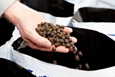 Biomar laver fiskefoder, og det er der mange penge i. Firmaet - der har en stor fabrik i Brande - tjente sidste år 775 millioner kroner.