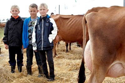 Tony Brøchner. Alle tre drenge bor med deres mor, far og søskende på gårde med dyr i området ved Aulum. Fra venstre ses Emil Brødbæk fra Aulum med vennerne Frederik Nielsen og Magnus Vesterblå.