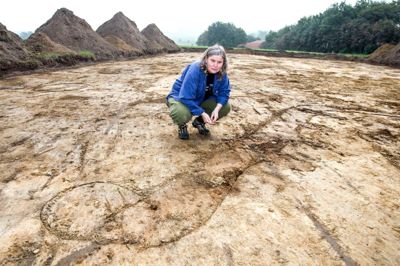 Tom Laursen. Arkæolog Vibeke Juul Pedersen fra Herning Museum og hendes kolleger fandt i onsdags resterne af et hus fra bronzealderen på Åbrinken i Sørvad. Huset har to rækker af tagbærende stolper, der ses i jorden i form af mørke plamager