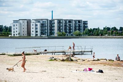 Liv og glæde på "stranden" ved Fuglasang Sø.