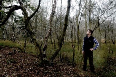 Den urørte skov viser skovens naturlige dynamik. Skovene kan fremstå mere rodede, siger Mathis Utoft Jørgensen, som er landskabsforvalter i Herning Kommune. ?Foto: Henrik Ole Jensen