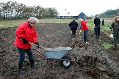 Landsbyen Studsgård og dens godt 460 indbyggere vil mange ting. Nogen dyrker en stor fælleshave. Landsbyen har sin egen friskole. Men det kniber med opbakningen til de foreninger, der får det hele til at hænge sammen i det daglige. ?foto: flemming hansen
