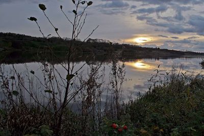 Det er meget idyllisk med alt det vand, de har i og omkring Holstebro - her er det Vandkraftsøen. Men vandet er samtidig med til at gøre byen uhyre sårbar ved skybrud og vintre med meget smeltevand. ?Foto: Kim Kristensen