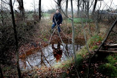 I dag er panserstillingerne bare sumpede vandhuller, men under krigen blev de formentlig anlagt, for at tyske kampvogne kunne køre ned ad rampen og skyde fra en nedsænket og beskyttet position med godt udsyn over landskabet. Henk Boer fra Museum Midtjylland håber at kunne finde effekter og skriftlige kilder, der kan fortælle mere om tyskernes aktiviteter ved Aulum. ?Foto: Henrik Ole Jensen