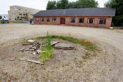 Den faldefærdige bygning på Haraldsgade fungerede i sin tid som kantine for Herning Eksportmarked, men siden det gamle kreaturmarked blev jævnet med jorden for at gøre plads til den nye retsbygning, har kantinebygningen stået gabende tom. Det får nu en ende. ?Foto: Tom Laursen