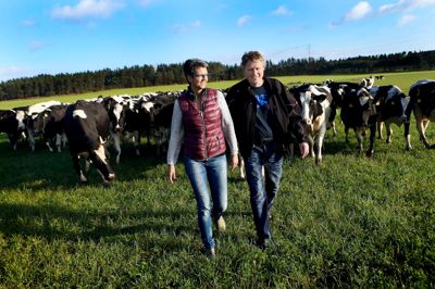 Lone og Henrik Sundgaard er klar til mellem 1000 og 2000 besøgende på økodag, hvor køerne lukkes på græs for første gang i år, og der er aktiviteter på gården for børn og voksne. ?Foto: Flemming Hansen