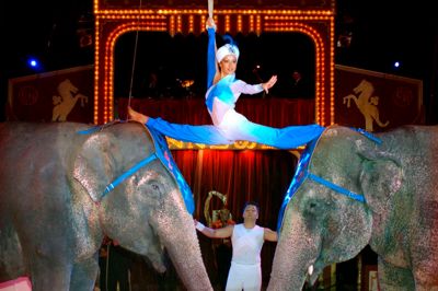 Cirkus Benneweis' maskot gæster Strøgcentret på lørdag som optakt til forestillingen 29. maj. ?PR-foto