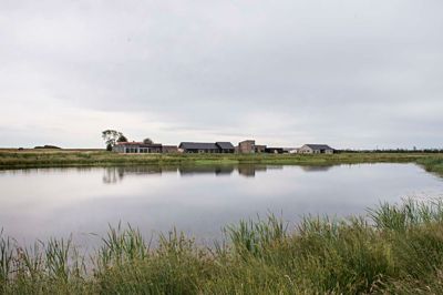 De nye parcelhuse på Ahornbakken er omgivet af vand. Ud over den nyanlagte og foreløbig ni hektar store Holing Sø lige syd for boligerne, er der også etableret en række vandbassiner, der skal opsamle regnvand lige vest for grundene. ?Foto: Jørn Deleuran