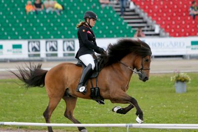 Selv om den officielle åbningsceremoni først var i dag, blev der tirsdag taget hul på sportsklasserne ved VM for islandske heste i Herning. På billedet imponerer en belgisk duo på ovalbanen ved Dyrskuepladsen. ?Foto: Henrik Ole Jensen