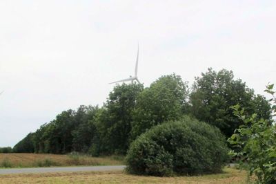 Så skal der atter samles affald. Her affald ved Videbæk Mose i fjor.
Privatfoto