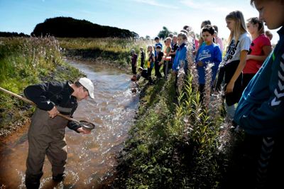 Rimmerhus Bæk får en ny etape med kunstigt åndedræt. Kim Iversen, Danmarks Center for Vildtlaks, forklarede skolebørn fra Fjelstervang om dyre- og plantelivet i bækken.? Foto: Henrik Ole Jensen