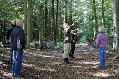 Det skal sikres, at de gamle træer, der er i Danmark, får lov til at blive stående i statskovene. Her viser skovfoged Hans Jensen eksempler på træer, der er potentielle »livstræer«. Foto: Kim Kristensen