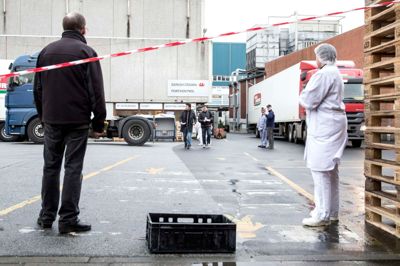 Svinepest-mistanken er afblæst, og slagteriet kan genoptage produktionen. Foto: Tom Laursen