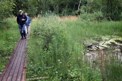 Bording Lokalråd ønsker sig en spang som denne ved Videbæk. Spangen i Bording skal krydse et vådområde langs Bording Å og give borgerne mulighed for bynære naturoplevelser. ?Foto: Flemming Hansen