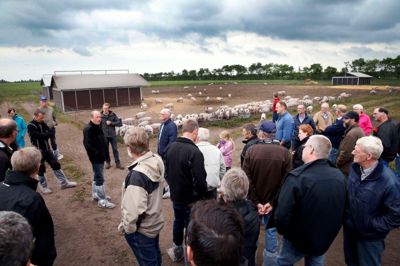 Landboforeningerne arrangerede en aften med flere naturforeninger. Her besøgte de deltagende en nyopstartet økologisk svinegård. ?Foto: Flemming Hansen