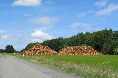 Biomasse ved Rimmerhus. ?Foto. Ole Skydt