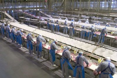 Den britiske udmelding kommer ikke til at koste arbejdspladser for Danish Crown. Foto: PR