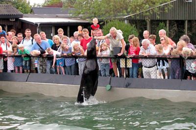 Det ustadige vejr er åbenbart zoo-vejr. Jyllands Park Zoo har netop haft sin bedste uge nogensinde.
foto: henrik ole jensen