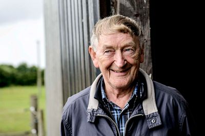 Henrik Jeppesen deltog i sit første dyrskue i Aulum i 1963, og han har ingen planer om at stoppe som udstille. Han stiller med fem kvæg af racen Dansk Blåhvidt på det kommende dyrskue. ?foto: Jørn DelEuran