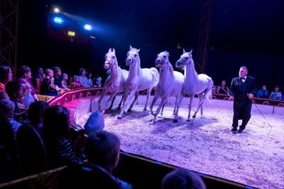 Isabella Enoch lægger vægt på, at cirkus er artisterne og klovnenes hjerteblod og håber, at det vil skinne igennem til forestillingen. ??FOTO: TOM LAURSEN