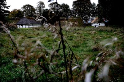 Museumsgrunden har vokset sig tæt gennem årene. De fleste interessenter ser frem til, at der sker noget på grunden, men der er stærkt divergerende meninger om, hvor stort et nybyggeri der skal tillades. Foto: Henrik Ole Jensen
