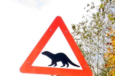 Dette nyopsatte vejskilt på hovedvej 16 ved Hagebro skal få bilisterne til at sætte farten ned og bidrage til, at færre oddere dræbes i trafikken. ?privatfoto